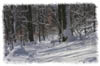 snowhike-067