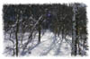 snowhike-072