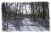 snowhike-083