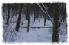 snowhike-086