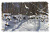 snowhike-103