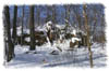 snowhike-107