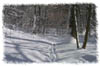 snowhike-109