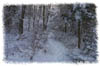 snowhike-111