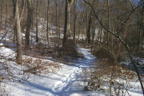 Redtrail-07