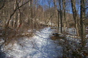 Redtrail-09