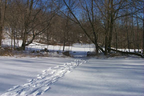 Redtrail-12