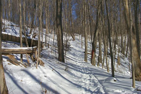 Redtrail-16