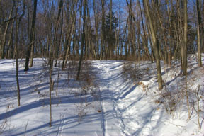 Redtrail-17