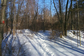 Redtrail-18