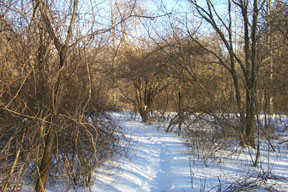 Redtrail-19