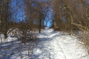 Redtrail-20