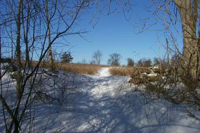 Redtrail-21
