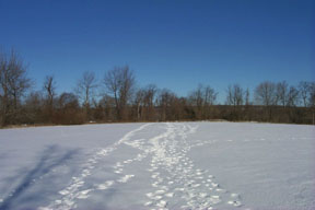 Redtrail-23