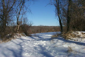 Redtrail-25
