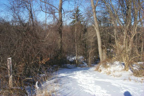 Redtrail-27