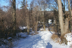 Redtrail-28