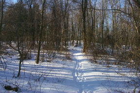 Redtrail-31
