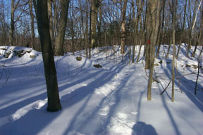 Redtrail-32