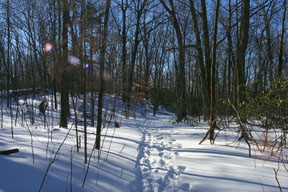 Redtrail-33