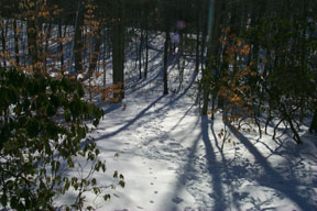 Redtrail-36