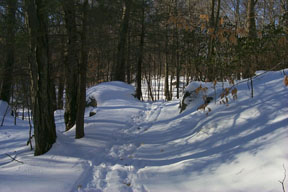 Redtrail-38