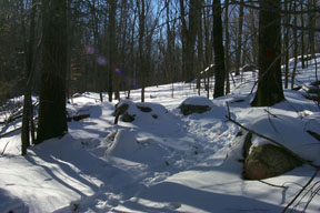Redtrail-40