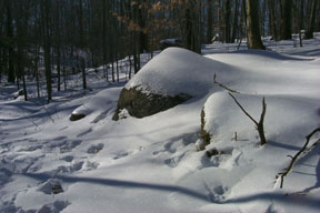 Redtrail-44