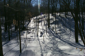 Redtrail-45