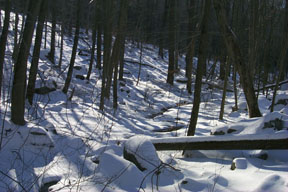 Redtrail-48
