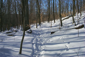 Redtrail-49
