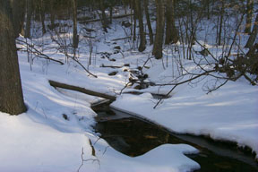 Redtrail-54