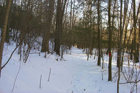 Redtrail-56