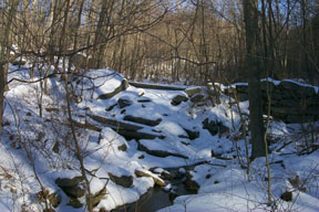 Redtrail-57