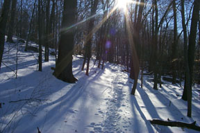 Redtrail-63