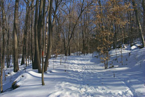Redtrail-64