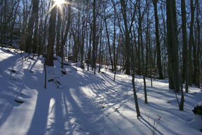Redtrail-65