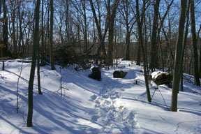 Redtrail-66