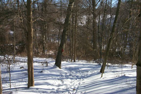 Redtrail-73