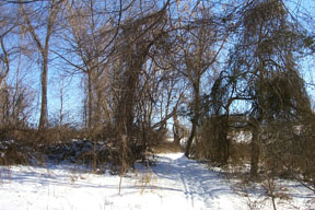 Redtrail-74