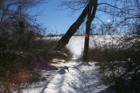 Redtrail-75