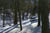 Redtrail-46