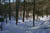 Redtrail-51