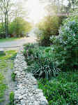 garden-1.jpg (40656 bytes)