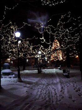 lights-on-green