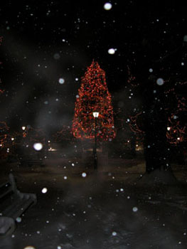 snowy_green_JJW_003