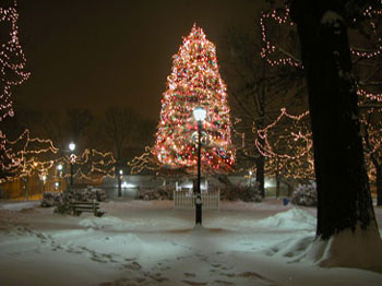 snowy_green_JJW_005