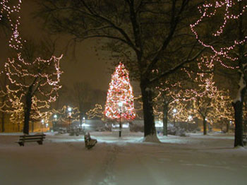 snowy_green_JJW_016