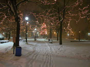 snowy_green_JJW_022