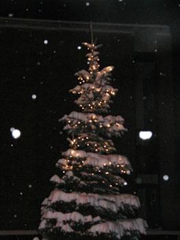 snowy_green_MG_000